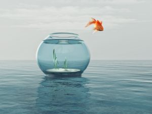 Goldfish in a bowl jumping in the sea. This is a 3d render illustration