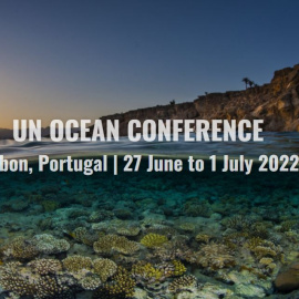 University of Bergen heads to Lisbon for UNOC2022